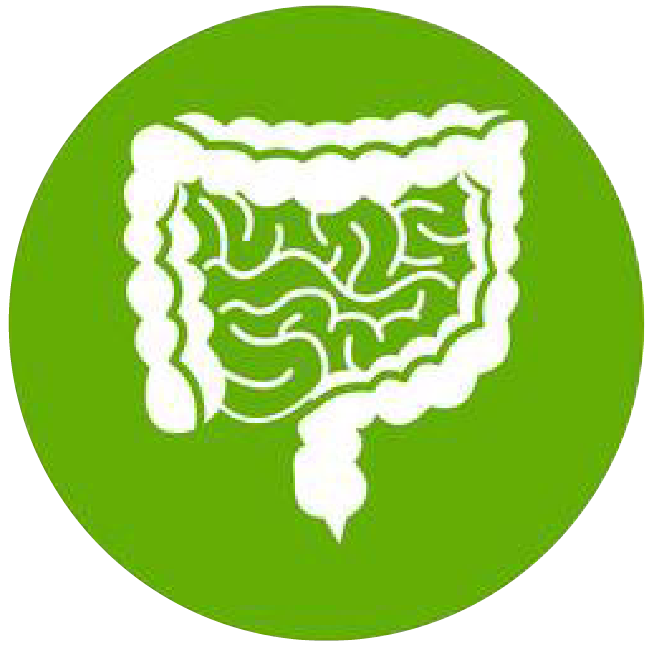 關(guān)注職場(chǎng)“腸”態(tài)，守護(hù)員工健康——上海格瑞特特邀消化內(nèi)科專家公益系列講座（4）(圖1)