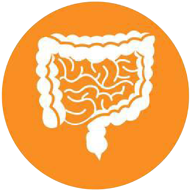 關(guān)注職場(chǎng)“腸”態(tài)，守護(hù)員工健康——上海格瑞特特邀消化內(nèi)科專家公益系列講座（4）(圖4)