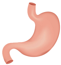 關(guān)注職場(chǎng)“腸”態(tài)，守護(hù)員工健康——上海格瑞特特邀消化內(nèi)科專家公益系列講座（4）(圖9)